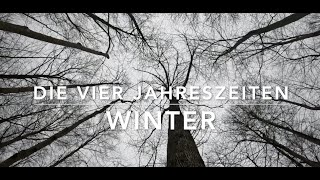 Der Wald in vier Jahreszeiten  Winter [upl. by Nyltyak732]