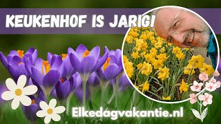 Keukenhof is jarig Zo maak je er een mooie dag van [upl. by Eerb]