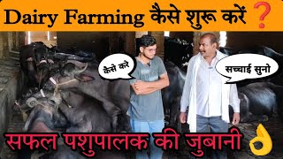 Dairy Farming कैसे शुरू करें❓how to start dairy farm business in india [upl. by Gahl]