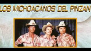 LOS MICHOACANOS DEL PINZANCorrido De Roman Gomez [upl. by Johnsson593]