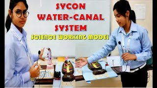 SYCON WATER CANAL SYSTEM  Working Model For Science Exhibition  EASY And SIMPLE PROJECT [upl. by Shell]