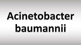 How to Pronounce Acinetobacter baumannii [upl. by Wivinia]