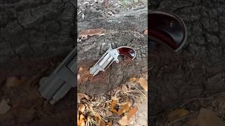 Shooting NAA 22 Derringer [upl. by Tugman]