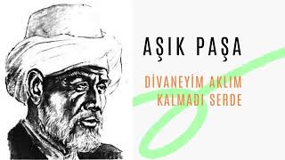 Divaneyim aklım kalmadı serde  AŞIK PAŞA  FARKLI FORMAT [upl. by Helsell]