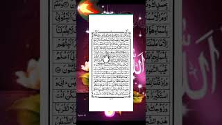 Recitation of Surah Baqarah in the voice of Qari Abu Raihan qurantilawat Surah Baqarah [upl. by Eelynnhoj]