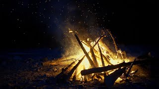 History of the Yule Log Ancient Pagan Ritual to Modern Christmas Tradition [upl. by Jeralee]