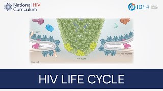 MiniLecture Series Overview of the HIV Life Cycle [upl. by Elam]