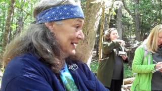 Talking with Trees  Hawthorne Herbal Remedy for Heart Health [upl. by Rebmetpes]