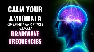 Calm Your Amygdala  Cure Anxiety Panic Attacks Naturally  Brainwave Frequencies  Amygdala Music [upl. by Enylekcaj]