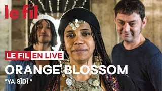 ORANGE BLOSSOM  Ya Sîdî  Live  le fil [upl. by Pass]