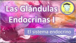 LAS GLÁNDULAS ENDOCRINAS  PARTE 1 [upl. by Trovillion135]