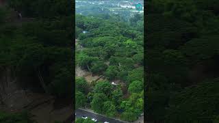 🎥Quick Update 𝗠𝗮𝗻𝗿𝗲𝘀𝗮 𝗧𝗼𝘄𝗻𝘀𝗵𝗶𝗽 of CLI  Site clearing and earthworks have already started [upl. by Ahsakal]