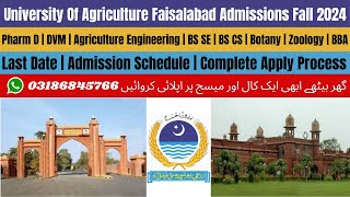 UAF Admission 2024  University Of Agriculture Faisalabad Admission 2024  UAF University Faisalabad [upl. by Analah931]