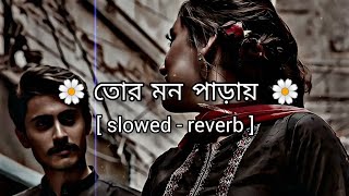 Tor Mon Paray Lofi  slowed  reverb  Mahdi Sultan  তোর মন পাড়ায়  Jisan Khan Shuvo sai GINI🎵 [upl. by Gnanmas575]