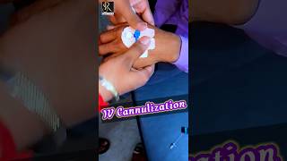 ivcannula iminjection injection ytshorts viralvideo trending [upl. by Hyacinth]