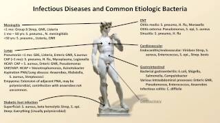 Bacterial Etiologies of Common Infections Antibiotics  Lecture 2 [upl. by Eeresed]