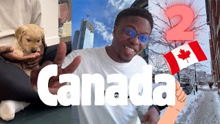 VLOG NOUVELLE VIE AU CANADA 2 🇨🇦  Apparte Hiver emploi Ecole Animation [upl. by Naej641]