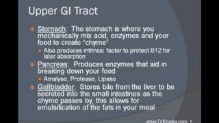 Gastrointestinal Physiology VIP video series [upl. by Rex641]