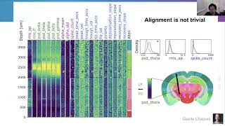 2024 342 The IBL brainwide map electrophysiological atlas Shi [upl. by Finegan820]