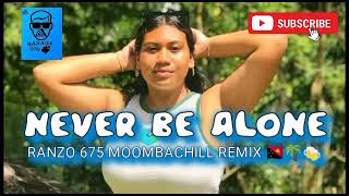 Never be alone  Deepside Deejays Ranzo Moombachill Remix 🎵 [upl. by Aicenra907]