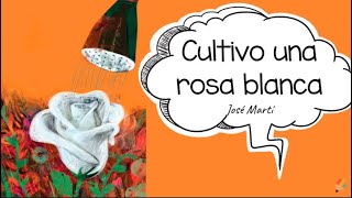 Cultivo un rosa blanca José Martí [upl. by Gwenny341]