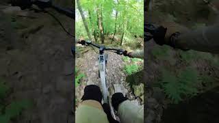 CA PASSE AU MOINS  epic mtb enduro bikelover [upl. by Martainn]