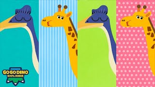 Vietnam Quetzalcoatlus Dino Song  GOGODINO  Cartoon For Kids  Song  Dinosaur [upl. by Sallee294]