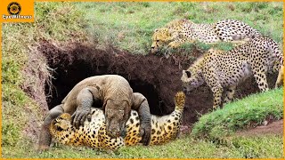 45 Incredible Clash Of Komodo Dragon VS Leopard Buffalo Lion Crocodile And A Surprise Ending [upl. by Weiler]