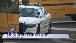 Student stabbed in a fight [upl. by Melly]