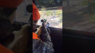 Deer Calls hunting huntingseason 243rifle 243 deer deerhunting deerblind deerfight [upl. by Kacerek884]