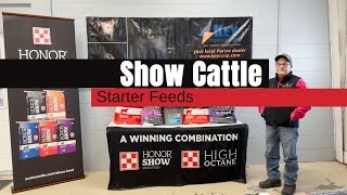 Show Cattle Starter Feeds [upl. by Fee766]