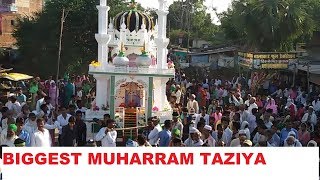 Very Popular Juloos and Taziya Of Muharram PART1 [upl. by Winston]