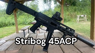 Stribog SP45A3 Review [upl. by Meridith]