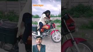 R esh lagao 🏍🏍🙏 comedy sorts vairalvideo funny surajroxfunnyvide realfools [upl. by Greeley260]