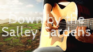 Celtic Guitar  Down by the Salley Gardens  Fingerstyle Guitar [upl. by Haymo877]