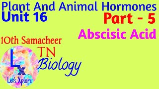 10th std Biology Unit 16 Plant and animal hormones Abscisic Acid Part 5 Samacheer Kalvi TN [upl. by Armillas315]