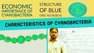 Cyanobacteria [upl. by Whale]