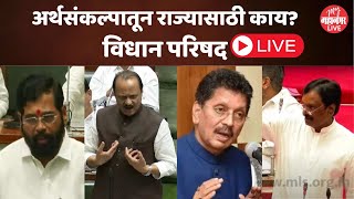 Maharashtra Budget 2024 पावसाळी अधिवेशनाचा दुसरा दिवस अर्थसंकल्पातून राज्यासाठी काय [upl. by Zarla]