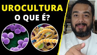 O que é exame de urocultura cultura de urina e para que serve  Prof Dr Victor Proença [upl. by Elleon]