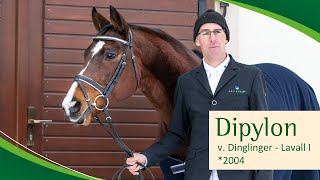 DIPYLON v Dinglinger  Lavall I [upl. by Fayina]