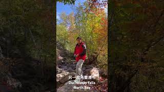 Duchesnay falls 另一視角fall nature relaxingmusic [upl. by Jess302]