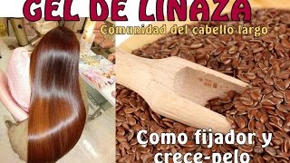 GEL DE LINAZA Como fijador de cabello natural y ANTI FRIZZ [upl. by Hillery]