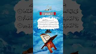 Surah Kafiron shortsviral islamicstatus islamicstatus viralvideo quran quranrecitation islam [upl. by Lraep835]