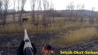 Heyecan verici yaban domuzu avıOkayŞAHİNSelçuk POSLUSerkanONATIR Wild Boar [upl. by Drofyar833]