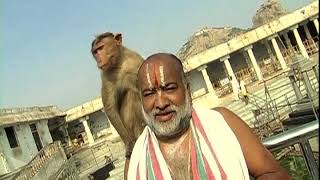 Feeding thousands of Aangis of Sholingur Hill Temple [upl. by Lseil]