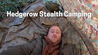 Tarp Stealth Camping in Hedgerow [upl. by Crocker]