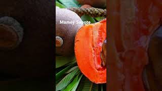 Mamey Sapote health benefits of Mamey Sapote rare fruits [upl. by Noyerb]