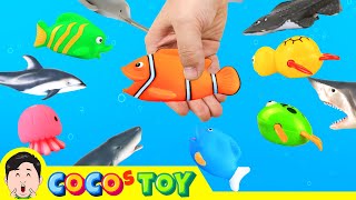 Catching animals in streamsㅣsea animals cartoon for kidsㅣCoCosToy [upl. by Alana]