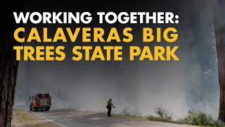 Working Together to Protect Calaveras Big Trees State Park [upl. by Vergne168]