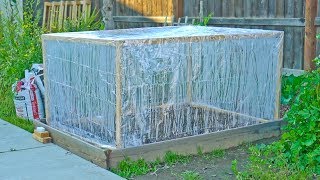 5 Low Cost Greenhouse Ideas [upl. by Lonna]